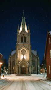 Cathedral in Starlight