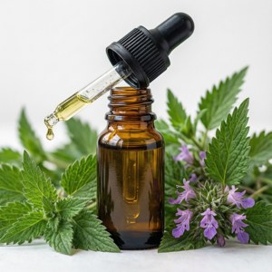 Catnip Oil Bottle