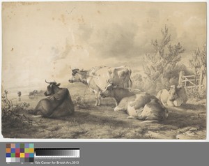 Cattle Lying near a Fence