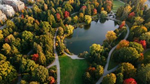 Central Park Autumn