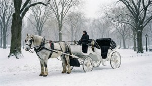 Central Park Snow