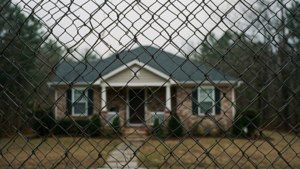 Chain-Link Perspective