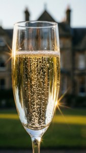 Champagne Toast