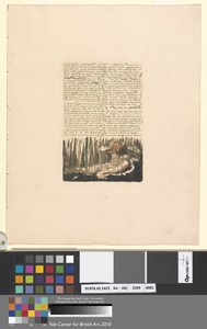 Chapter II, "Muster around the bleak desarts..." (Plate 4)