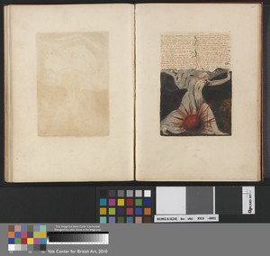 Chapter VIII, "Of life on his forsaken mountains..." (Plate 24)