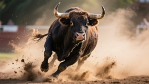 Charging Ox