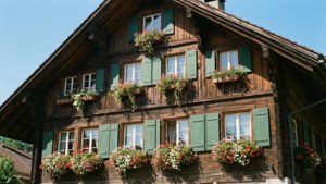 Charming Chalet Close-up