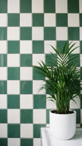 Checkered Bathroom Plant