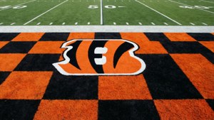 Checkered End Zone