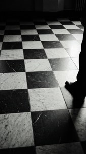Checkered Floor Noir