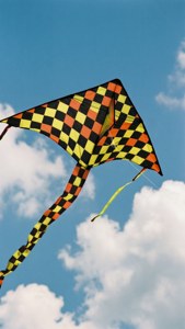 Checkered Kite in Sky