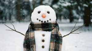 Checkered Scarf Snowman