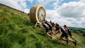 Cheese Chase Fury