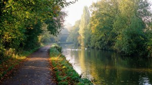 Chelmer Riverside Autumn