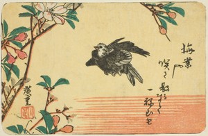 Cherry and sparrow