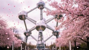 Cherry Blossom Atomium