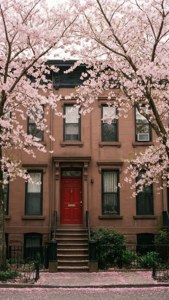 Cherry Blossom Brownstone