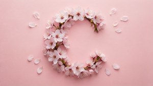 Cherry Blossom C