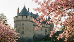 Cherry Blossom Castle