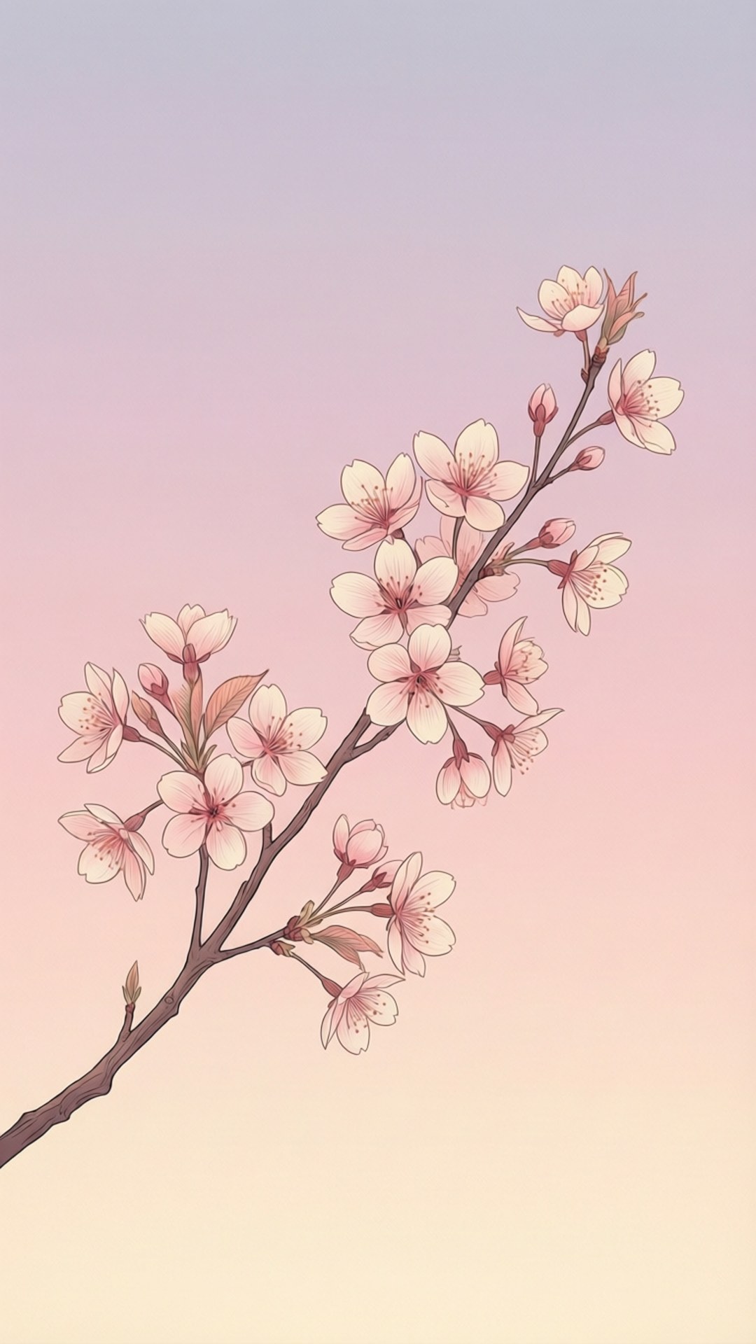 Cherry Blossom Dawn by Wallpapers.art Studio