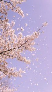 Cherry Blossom Dream
