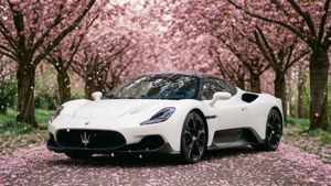 Cherry Blossom Drive