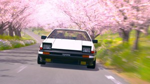 Cherry Blossom Drive