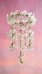 Cherry Blossom Mobile