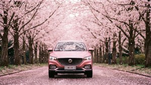 Cherry Blossom Ride