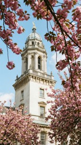 Cherry Blossom Tower