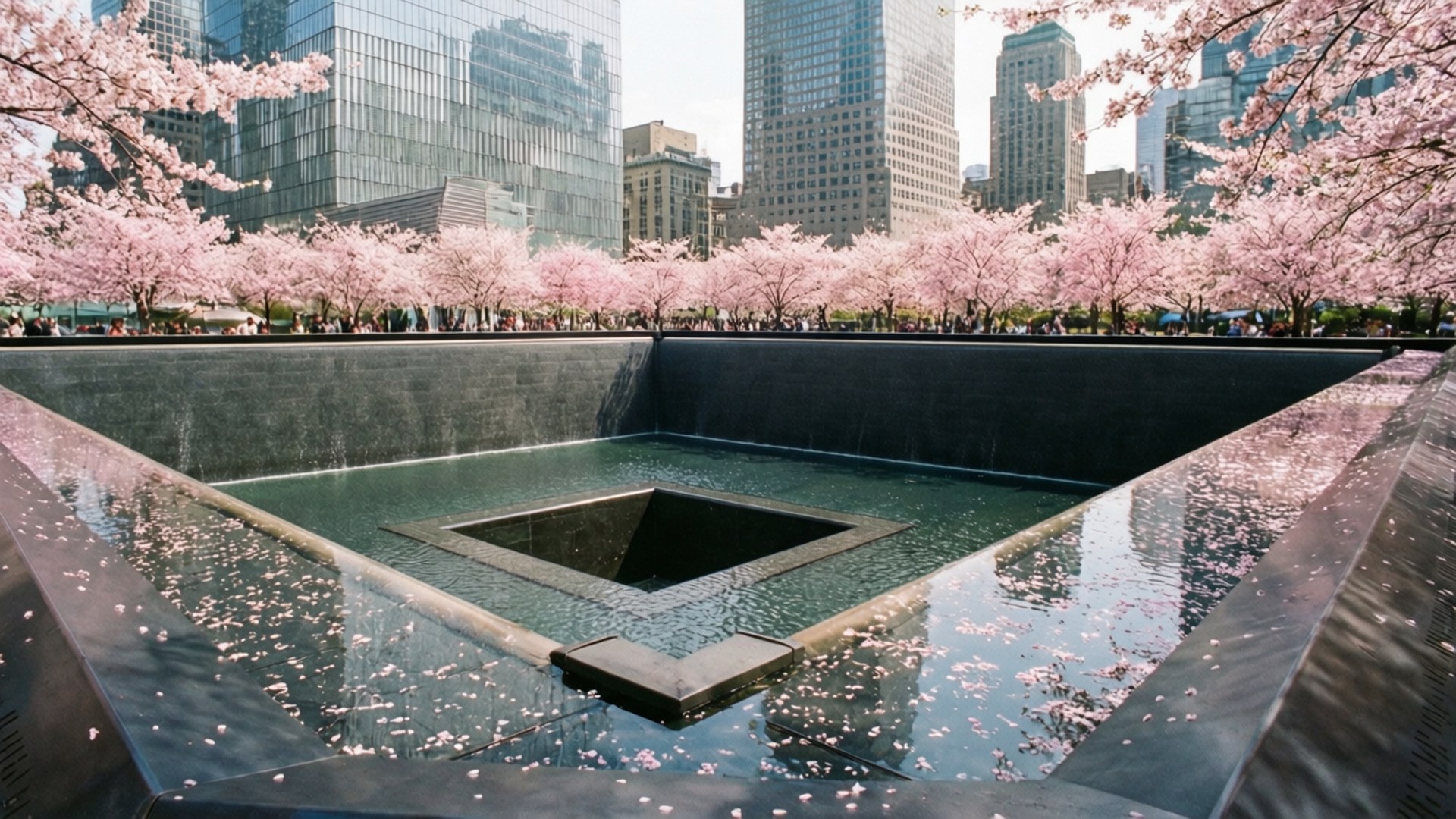 Cherry Blossoms at Ground Zero by Wallpapers.art Studio