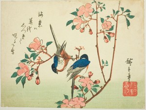 Cherry branch and Swallow (Java)