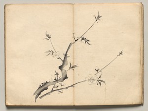 Cherry from Ōkyo Picture Book