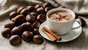 Chestnut Still Life Cocoa