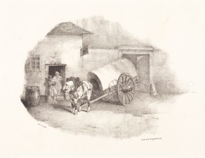Cheval de charrette sorti des Limons