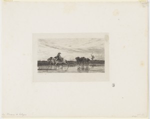 Chevaux de Halage