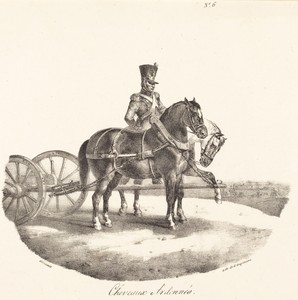 Cheveaux des Ardennes