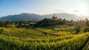 Chiang Rai Countryside Vista