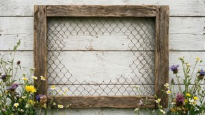 Chicken Wire Frame