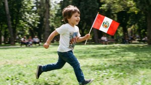 Child Waving Flag