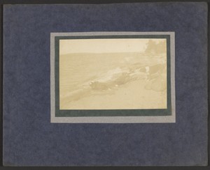 [Children and Dog at the Shore]