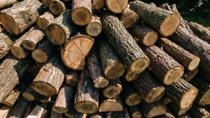 Chopped Firewood Stack