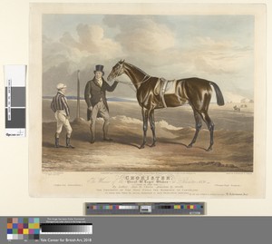 Chorister. The Winner of the Great St. Leger Stakes at Doncaster 1831