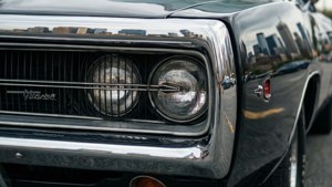 Chrome Beast Detail