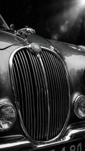 Chrome Icon