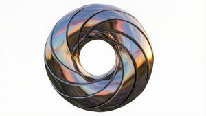 Chrome Torus