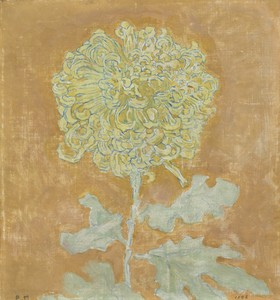 Chrysanthemum