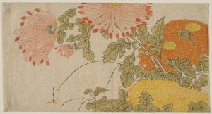 Chrysanthemums