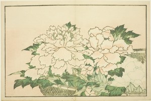 Chrysanthemums in a Basket, from The Picture Book of Realistic Paintings of Hokusai (Hokusai shashin gafu)