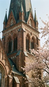 Church in Cherry Blossom